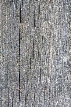 Texture of nature fence weathered wood background 
