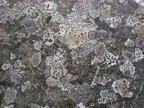 Texture of nature stone background closeup