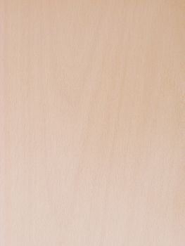 Texture of wood background closeup 

