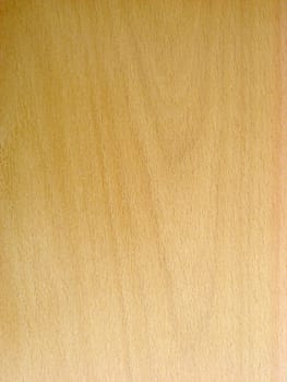 Texture of wood background closeup 
