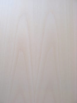 Texture of wood background closeup 
