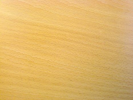 Texture of wood background closeup 
