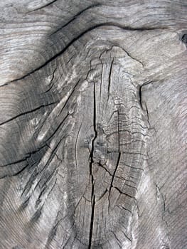 Textureof fence weathered wood background 