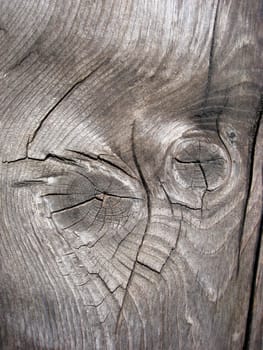 Texture of fence weathered wood background 