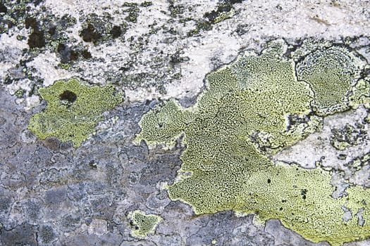 Texture of nature stone background closeup
