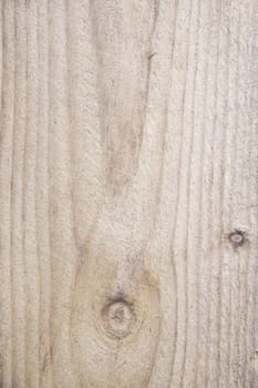 Texture of wood background closeup 
