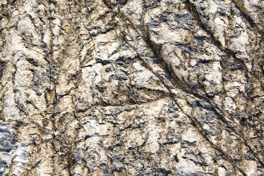 Texture of nature stone background closeup 
