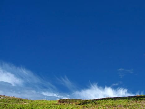 Beautiful landscape of blue sky and green grass