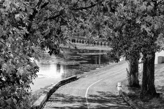 A black and white picture of a walkway running alond side the shores of a small pond