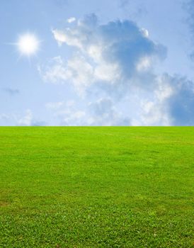 Nice field and sun in blue sky