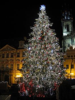 Christmas tree in the old town square of Prague