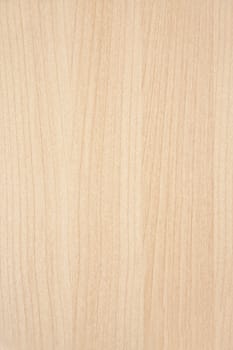 Texture of wood background closeup 
