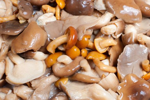 Assortment of various mushrooms, diced and pickled