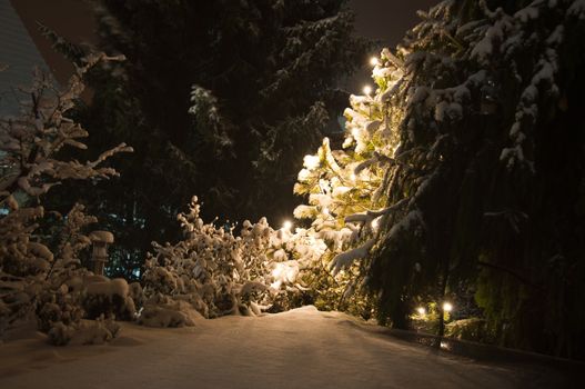 Winter landscape with snowy trees and Xmas lights
