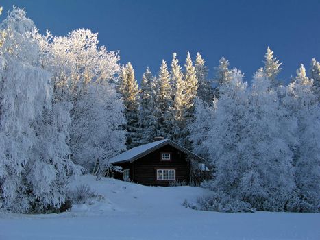 Winter landscape with snowy trees and cabin