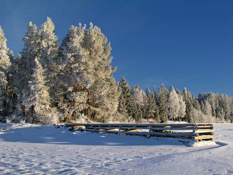 Winter landscape of frozen lake and snowy trees   