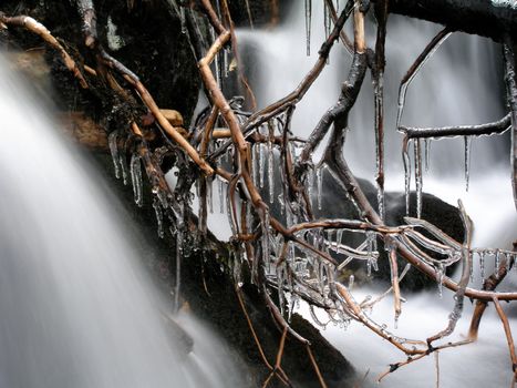Beautiful Frozen branches closeup in mounatin river
