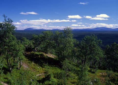 summer landscape with green mountain and blue sky