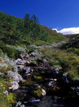 Beautiful wild landscape of mountain