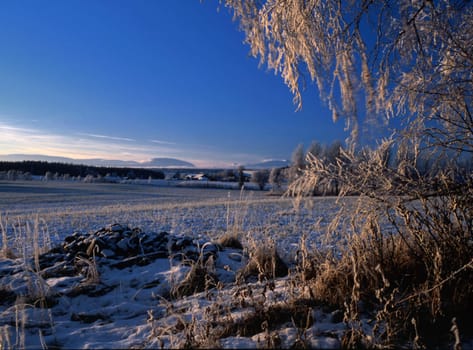 Winter landscape with frost trees and blue sky