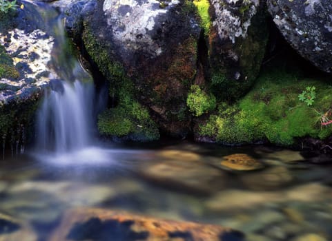 Beautiful flowing water over rocks in forest