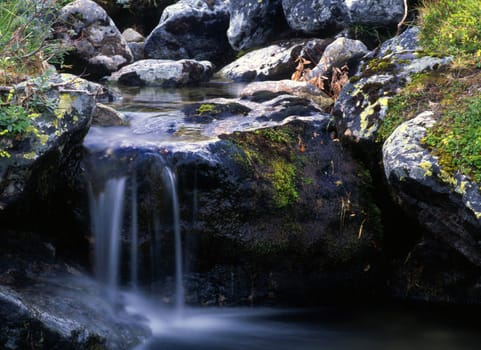 Flowing water over rocks in forest