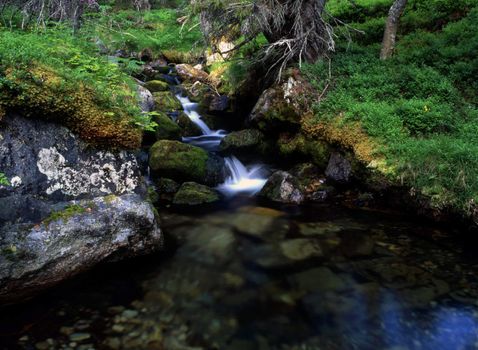 Beautiful cascade stream in forest. Clear water and green grass