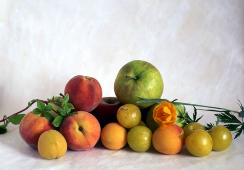 Multi fresh fruits isolated on painted background
