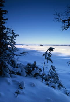 Beautiful winter landscape with snow and blue sky