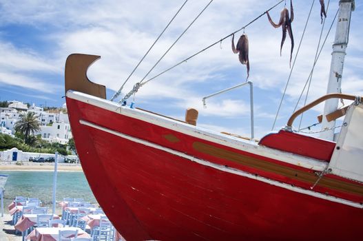 Squid drying on a red Boat taken in Mykonos, Greece