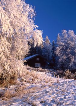 Beautiful winter landscape with Wintry cottage 
