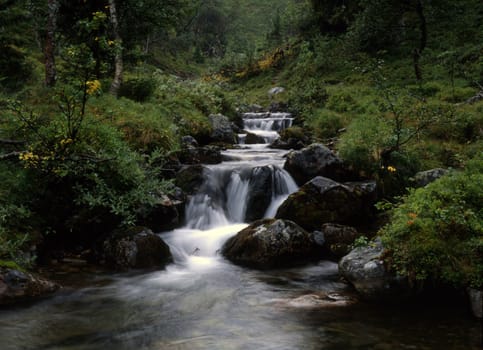 Beautiful stream in mountain 