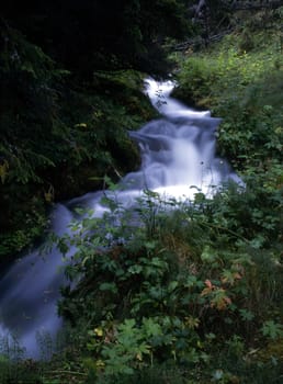 Flowing water of mountain stream