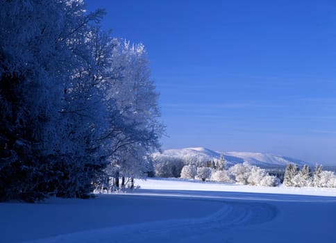 Beautiful winter landscape with white snow and blue sky