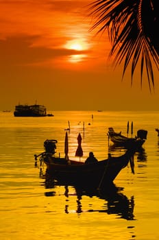 Sunset with palm and longtail boats on tropical beach. Ko Tao island, Thailand