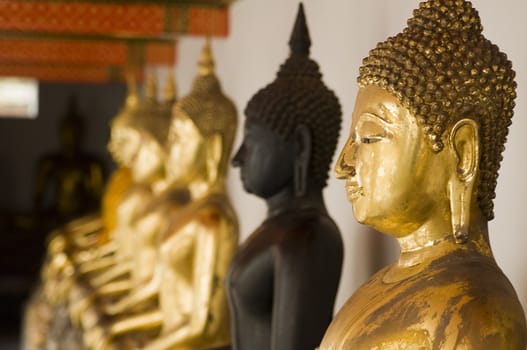 Many buddhas in Wat Pho, Bandkok, Thailand