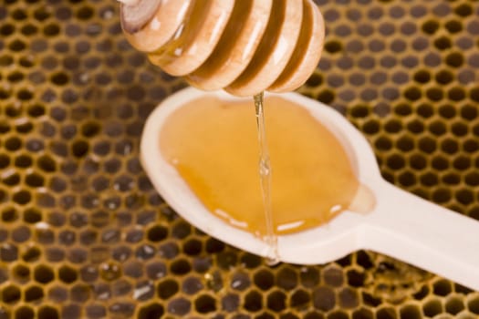 Beautiful yellow patch of healthy and tasty honey