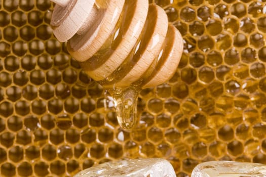 Beautiful yellow patch of healthy and tasty honey