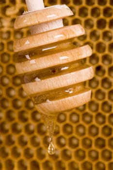 Beautiful yellow patch of healthy and tasty honey