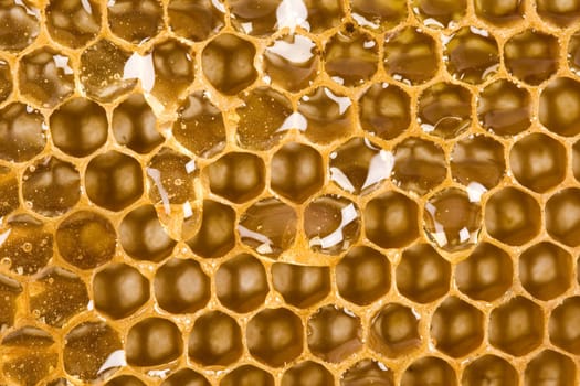 Beautiful yellow patch of  honey