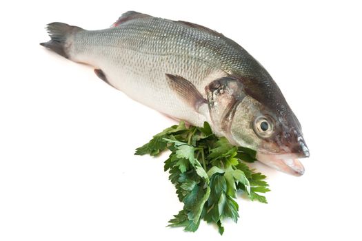 sea bass with parsley isolated on white background with clipping path