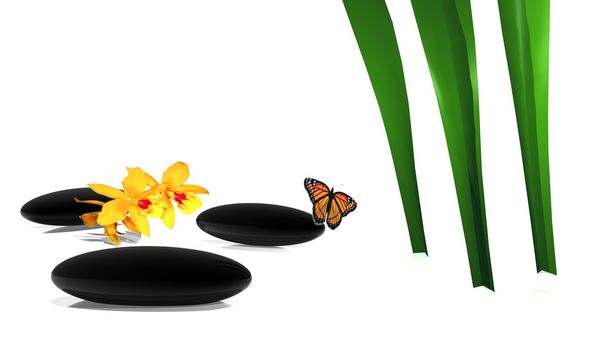Three black stones, flowers, a butterfly and a green plant in a white background
