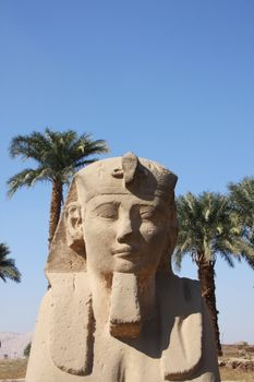 Sphinx located on the ancient road between the Luxor Temple and the Karnak Temple Luxor, Egypt.