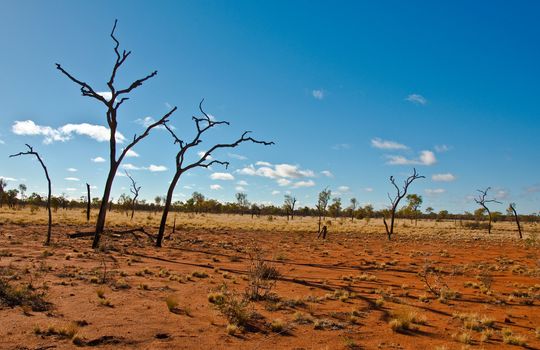 australian landscape in the red center, australian desert