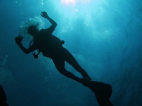 Diver silhouette in backlight.