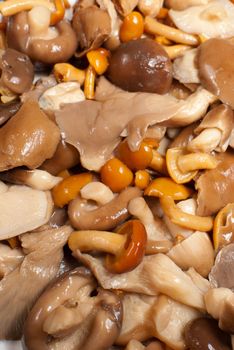Assortment of various mushrooms, diced and pickled