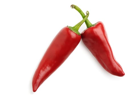 Two red bitter pepper with shadow. Isolated on white background