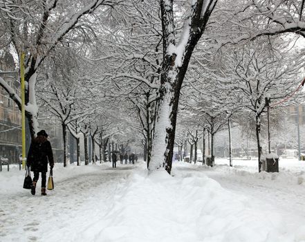 Walkers in Plainpalais place by winter, Geneva, Switzerland