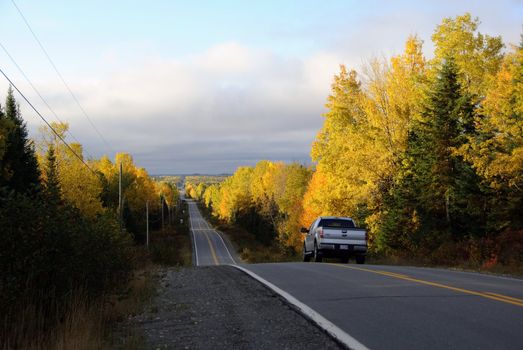 Picture of an asphalt road in autumn