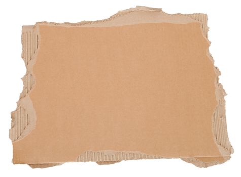 Torn Brown Cardboard Background Isolated on White